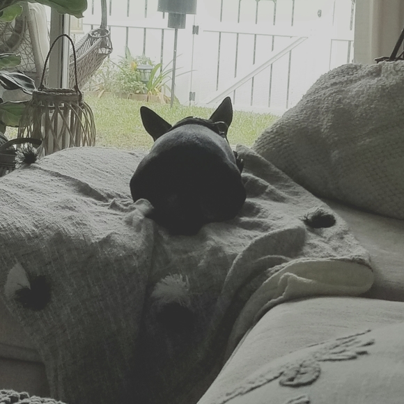 Meet your Posher, Linda - Picture 16 of 16